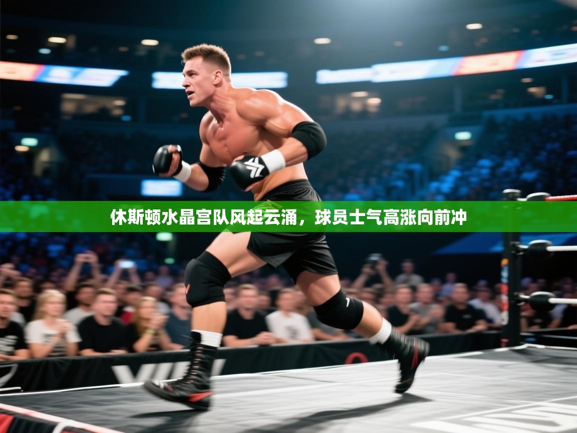 开云体育版本更新日志2025-休斯顿水晶宫队风起云涌,球员士气高涨向前冲 第2张