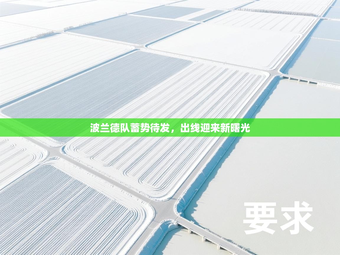 开云体育app官网入口-波兰德队蓄势待发，出线迎来新曙光  第4张