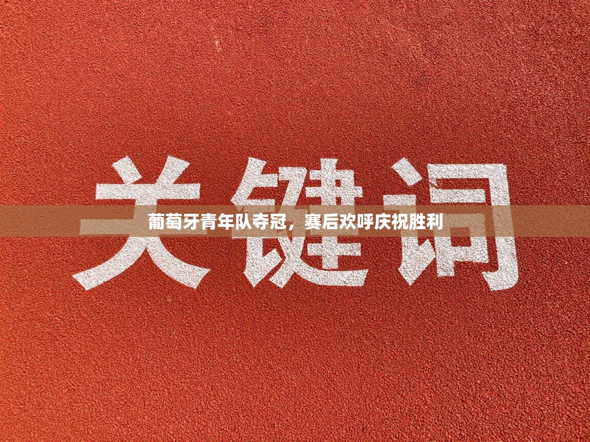 开云体育在线下载-葡萄牙青年队夺冠，赛后欢呼庆祝胜利  第2张